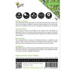 Klokken Van Ierland - Molucella Laevis -Aanbiedingen Intieme Eden Winkel klokken van ierland molucella laevis 1646840330 412 600