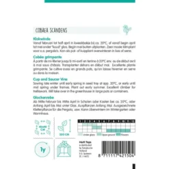 Klokwinde - Cobaea Scandens (klimmer) -Aanbiedingen Intieme Eden Winkel klokwinde cobaea scandens klimmer 1646840326 330 600