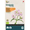 Koekruid Pink Beauty BIO - Saponaria Vaccaria -Aanbiedingen Intieme Eden Winkel koekruid pink beauty bio saponaria vaccaria 1646840382 1500 600