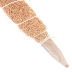 Kokos Kamerplantensteun - Plantstok Ø45 Mm × 1 M -Aanbiedingen Intieme Eden Winkel kokos plantensteun 45 mm x 1 m 1622717806 4 600