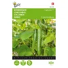 Komkommer Euphoria F1 Hybride Cucumis Sativus -Aanbiedingen Intieme Eden Winkel komkommer euphoria f1 hybride cucumis sativus 1646840315 91 600