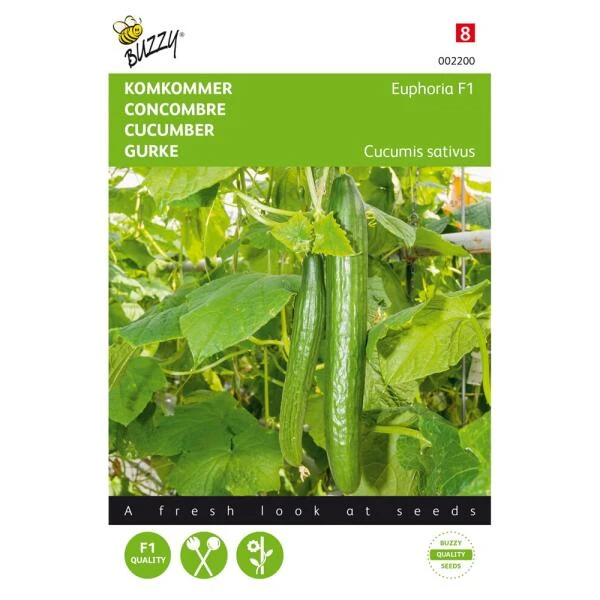 Komkommer Euphoria F1 Hybride Cucumis Sativus 3 Komkommer Euphoria F1 Hybride Cucumis Sativus