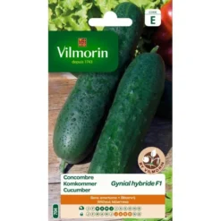 Komkommer Gynial HF1