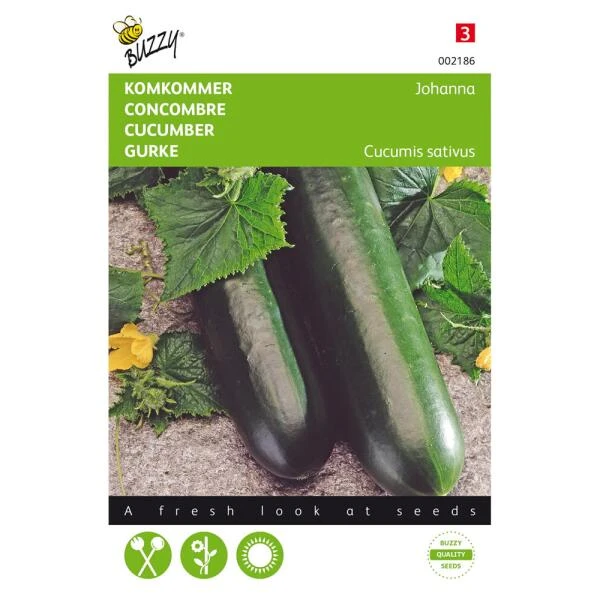 Komkommer Johanna - Cucumis Sativus 3 Komkommer Johanna - Cucumis Sativus