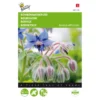 Komkommerkruid - Borago Officinalis -Aanbiedingen Intieme Eden Winkel komkommerkruid borago officinalis 1646840313 35 600