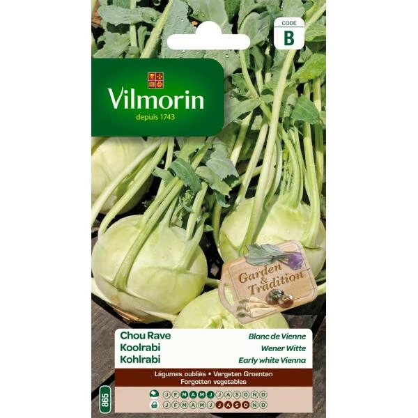 Koolrabi Wener Witte 3 Koolrabi Wener Witte