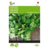 Koriander - Coriandrum Sativum -Aanbiedingen Intieme Eden Winkel koriander coriandrum sativum 1646840313 33 600