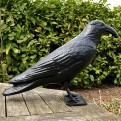 Duivenverjager Kraai Roepend -Aanbiedingen Intieme Eden Winkel kraai met geluid 1523289337 4 600