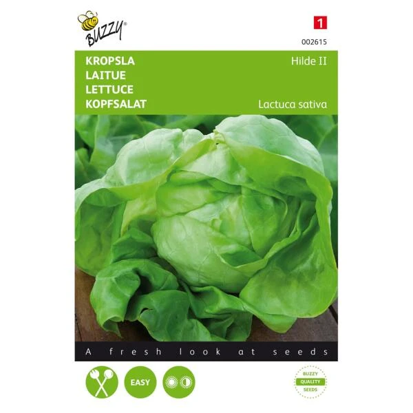 Kropsla Hilde - Lactuca Sativa 3 Kropsla Hilde - Lactuca Sativa