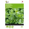 Kruizemunt - Mentha Spicata -Aanbiedingen Intieme Eden Winkel kruizemunt mentha spicata 1646840313 37 600