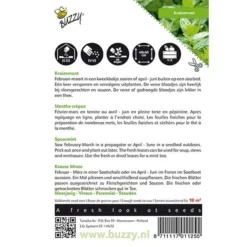 Kruizemunt - Mentha Spicata 5 Kruizemunt - Mentha Spicata -Aanbiedingen Intieme Eden Winkel kruizemunt mentha spicata 1646840313 38 600