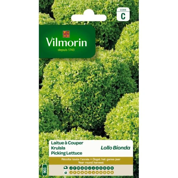 Krulsla Lollo Bionda 3 Krulsla Lollo Bionda