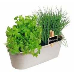 Kweekset Bieslook En Bladkoriander 5 Kweekset Bieslook En Bladkoriander -Aanbiedingen Intieme Eden Winkel kweekset bieslook en bladkoriander 1646840379 1459 600