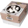 Kweekset 7,5 Liter Witte Champignons -Aanbiedingen Intieme Eden Winkel kweekset witte champignons 3 l 1486032924 0 600