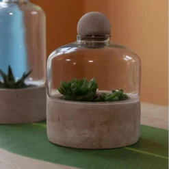 ESSCHERT DESIGN Kweekstolp Glas Op Betonbasis -Aanbiedingen Intieme Eden Winkel kweekstolp glas op betonbasis 1628768694 1 600