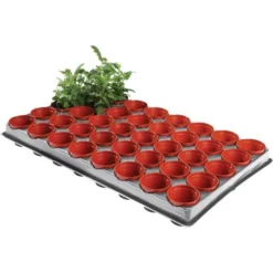 Tray Met 40 Kweekpotjes 6 Cm -Aanbiedingen Intieme Eden Winkel kweektray 40 potjes 6 cm 1599819541 1 600