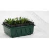 Kweektray Compact Rapid Root - 20 Cellen -Aanbiedingen Intieme Eden Winkel kweektray rapid root 20 cellen 1487670094 0 600