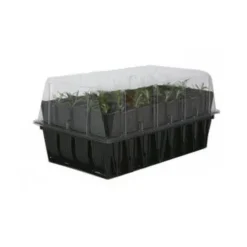 Kweektray Rapid Roots - 32 Cellen 11 Kweektray Rapid Roots - 32 Cellen -Aanbiedingen Intieme Eden Winkel kweektray rapid roots 32 cellen 1521399839 2 600