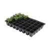 Kweektrays 40 Cellen - Professioneel - Set Van 5 Stuks -Aanbiedingen Intieme Eden Winkel kweektrays 40 cellen professioneel 1497949475 1 600