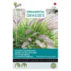 Lampenpoetsersgras - Pennisetum Alopecuroides -Aanbiedingen Intieme Eden Winkel lampenpoetsersgras pennisetum alopecuroides 1646840391 1654 600