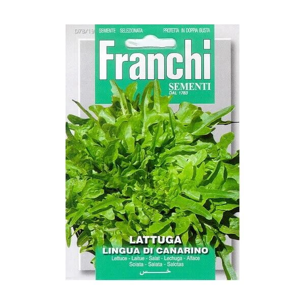 Lattuga Lingua Di Canarino - Kropsla Kleinbladig 3 Lattuga Lingua Di Canarino - Kropsla Kleinbladig