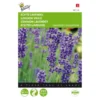 Lavendel - Lavandula Angustifolia 2 Lavendel - Lavandula Angustifolia -Aanbiedingen Intieme Eden Winkel lavendel lavandula angustifolia 1646840313 41 600
