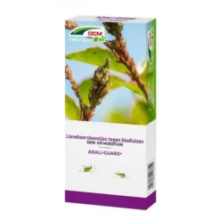 DCM Adali-Guard - Lieveheersbeestjes Tegen Bladluizen - 100 Larven 5 DCM Adali-Guard - Lieveheersbeestjes Tegen Bladluizen - 100 Larven -Aanbiedingen Intieme Eden Winkel lieveheersbeestjes 100 larven 1592213116 1 600