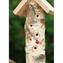 Lieveheersbeeststammetje Op Paal -Aanbiedingen Intieme Eden Winkel lieveheersbeeststam berk 1484053499 3 600