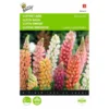 Lupinus Polyphyllus Minarette -Aanbiedingen Intieme Eden Winkel lupinus polyphyllus minarette 1646840336 553 600