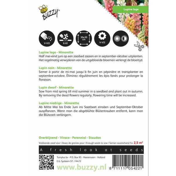 Lupinus Polyphyllus Minarette 4 Lupinus Polyphyllus Minarette - Afbeelding 2