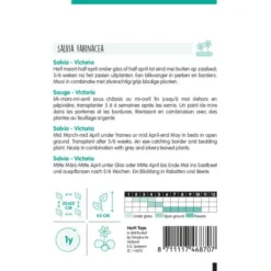 Meelsalie Victoria - Salvia Farinacea -Aanbiedingen Intieme Eden Winkel meelsalie victoria salvia farinacea 1646840350 833 600