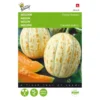 Meloenen Oranje Ananas - Cucumis Melo 1 Meloenen Oranje Ananas - Cucumis Melo -Aanbiedingen Intieme Eden Winkel meloenen oranje ananas cucumis melo 1646840317 123 600
