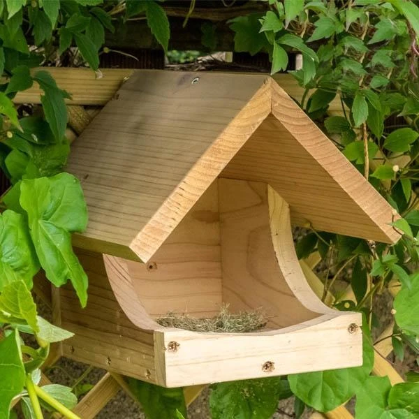 Nestkast Voor Merel En Lijster 3 Nestkast Voor Merel En Lijster