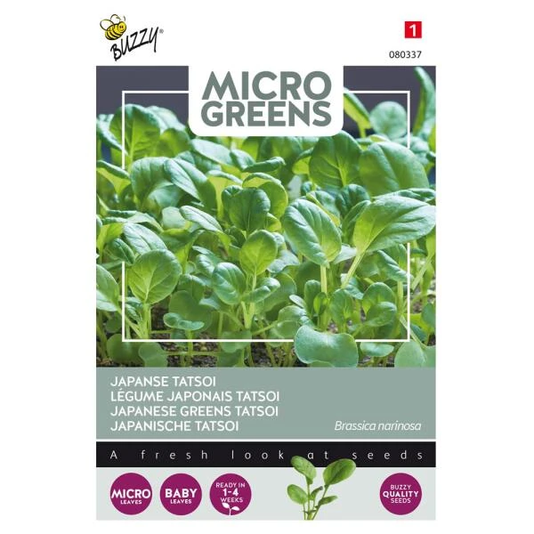 Microgreens Japanse Tatsoi 3 Microgreens Japanse Tatsoi