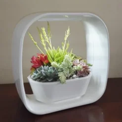 Mini Tuin 'Jardin Secret' - Ledverlichting -Aanbiedingen Intieme Eden Winkel mini tuin jardin secret ledverlichting 1597754451 2 600