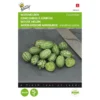Muismeloen, Cucamelon - Melothria Scabra -Aanbiedingen Intieme Eden Winkel muismeloen cucamelon melothria scabra 1646840382 1514 600