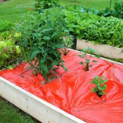 Rode Folie Voor Een Betere Plantengroei -Aanbiedingen Intieme Eden Winkel mulchfolie 1577621986 1 600