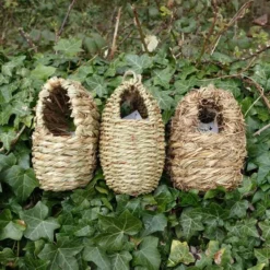 Nestbuidel Met Inkijkopening -Aanbiedingen Intieme Eden Winkel nestbuidel met inkijkopening 1672666812 1 600