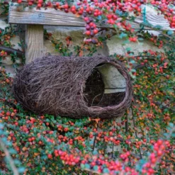 Nestbuidel Roodborstje - Naturel Simon King