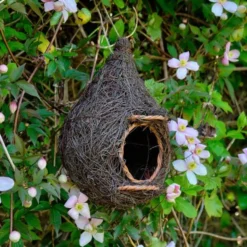 Nestbuidel Roodborst - Wicker