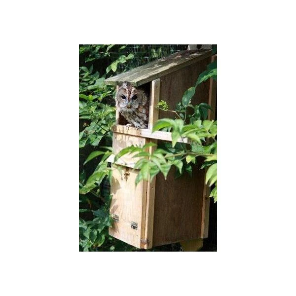 Uilenkast Bosuil - Cederhout 5 Uilenkast Bosuil - Cederhout - Afbeelding 3