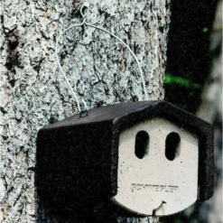 Nestkast Houtbeton - 2 Invliegopeningen - Schwegler -Aanbiedingen Intieme Eden Winkel nestkast houtbeton 2 invliegopeningen 1552136054 1 600