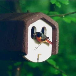 Nestkast Houtbeton - 2 Invliegopeningen - Schwegler -Aanbiedingen Intieme Eden Winkel nestkast houtbeton 2 invliegopeningen 1552136106 1 600