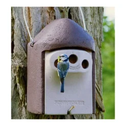 Nestkast Houtbeton - 3 Invliegopeningen - Schwegler