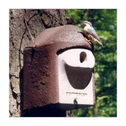 Nestkast Houtbeton - Invliegopening Ovaal - Schwegler