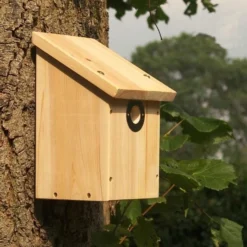 Nestkast Camera Ready - Multi 28/32 Mm -Aanbiedingen Intieme Eden Winkel nestkast multi 2832 mm camera ready 1526163633 1 600