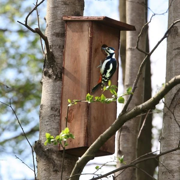 ESSCHERT DESIGN Nestkast Specht - 16 × 16 × 55 Cm 4 ESSCHERT DESIGN Nestkast Specht - 16 × 16 × 55 Cm - Afbeelding 2