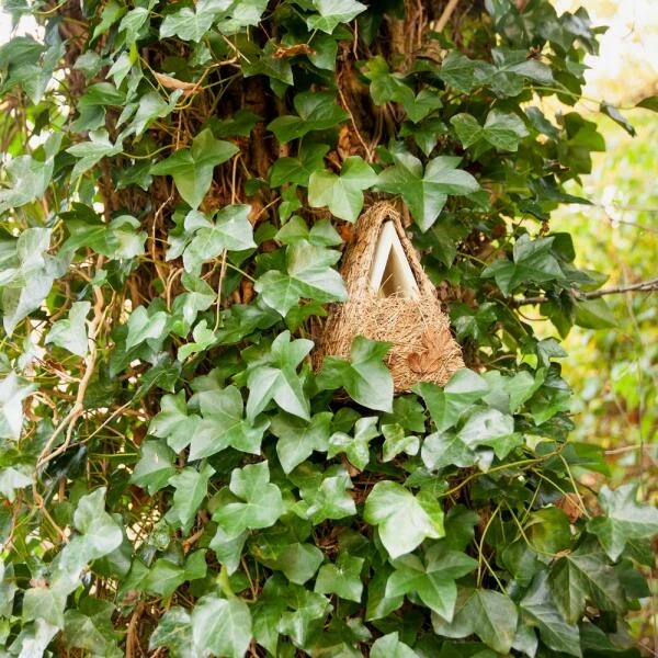 ESSCHERT DESIGN Nestkast Winterkoning Camouflage 4 ESSCHERT DESIGN Nestkast Winterkoning Camouflage - Afbeelding 2