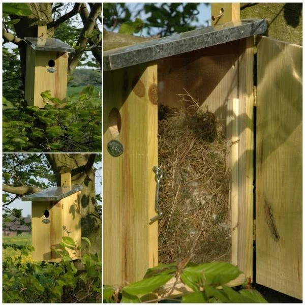 ESSCHERT DESIGN Observatienestkast 4 ESSCHERT DESIGN Observatienestkast - Afbeelding 2