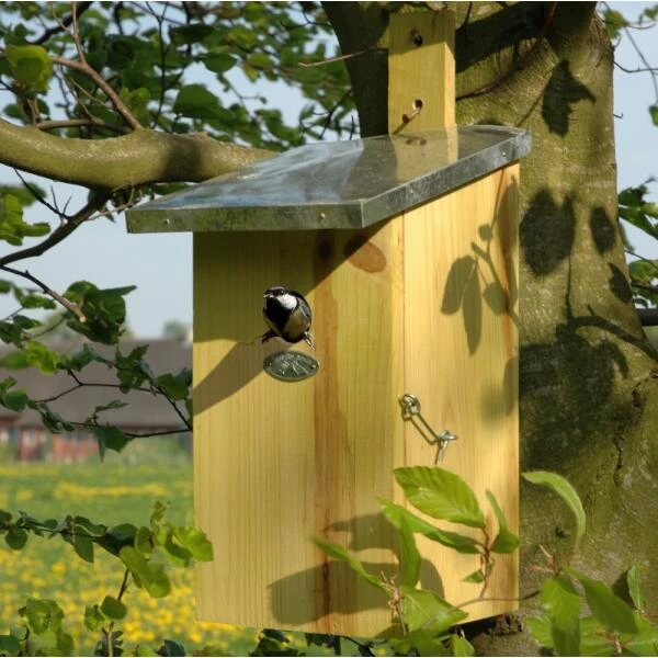 ESSCHERT DESIGN Observatienestkast 7 ESSCHERT DESIGN Observatienestkast - Afbeelding 5